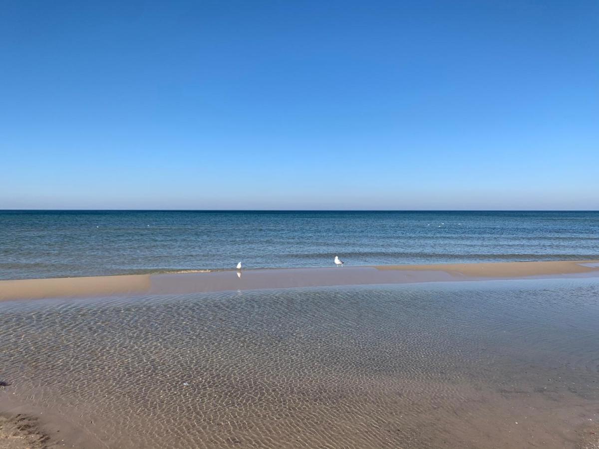 DziwnówekSurf'N Beach Apartament公寓 外观 照片